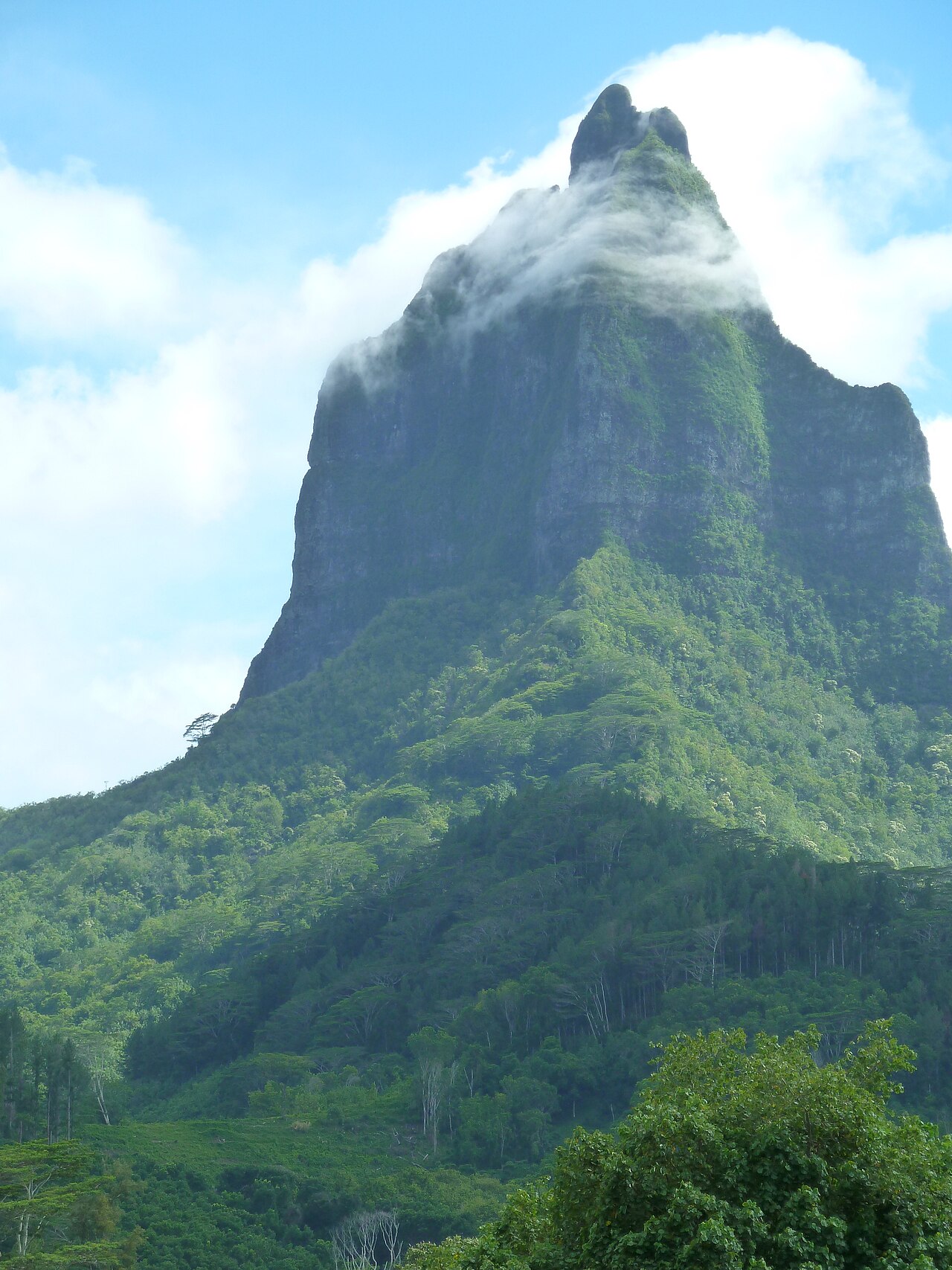 Mt. Mouaroa, Moorea — the iconic Shark's Tooth peak wrapped in cloud
